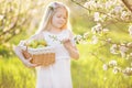 Child girl in blossom garden with basket of apples Royalty Free Stock Photo