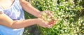 Child girl in a camomile field. Selective focus Royalty Free Stock Photo