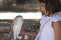 Child girl caress barn owl