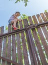 Girl climbs the fence on a summer day Royalty Free Stock Photo