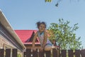 Girl climbs the fence on a summer day Royalty Free Stock Photo