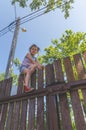 Girl climbs the fence on a summer day Royalty Free Stock Photo