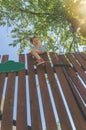 Girl climbs the fence on a summer day Royalty Free Stock Photo