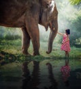 Child girl and elephant Royalty Free Stock Photo