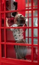 A child girl hangs up in a carousel telephone booth. In a retro street phone booth, a little girl is trying to hang up Royalty Free Stock Photo