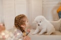 Child girl is holding puppy on her hands near pink the gift boxes Royalty Free Stock Photo