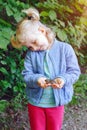 Child girl holding small forest frog toad Royalty Free Stock Photo