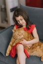 Child girl holds her pet red British cat in her arms and sits with him on the couch at home Royalty Free Stock Photo