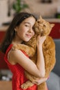 Child girl holds her pet red british cat in her arms and sits with him on the couch at home Royalty Free Stock Photo