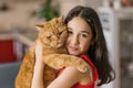 Child girl holds her pet red British cat in her arms and sits with him on the couch at home Royalty Free Stock Photo