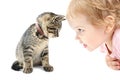 Child girl and kitten portrait isolated,cat pet Royalty Free Stock Photo