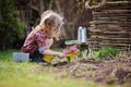 Child girl planting hyacinth flowers in spring garden Royalty Free Stock Photo