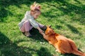 Child girl playing with ginger cat in backyard garden on sunny day Royalty Free Stock Photo