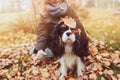 Child girl playing with her dog in autumn garden on the walk Royalty Free Stock Photo