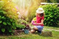 Child girl playing little gardener and helping in summer garden Royalty Free Stock Photo