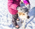 Child girl plays with a dog in the snow. Favorite pet. Games outdoors Royalty Free Stock Photo