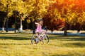 Child girl riding bicycle on summer sunset in the park. Royalty Free Stock Photo