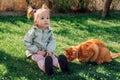 Child girl sitting on lawn grass with ginger cat in spring garden Royalty Free Stock Photo
