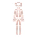 Child girl skeleton anatomy