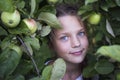 Child girl apples Royalty Free Stock Photo