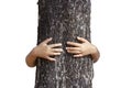 Child girl stand behind and give hug to tree in forest. Concept of global problem of carbon dioxide and global warming. Love of na Royalty Free Stock Photo