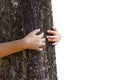 Child girl stand behind and give hug to tree in forest. Concept of global problem of carbon dioxide and global warming. Love of na Royalty Free Stock Photo