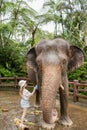 Child girl is washing and cleaning an elephant in sanctuary park at Bali, Indonesia.