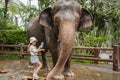 Child girl is washing and cleaning an elephant in sanctuary park at Bali, Indonesia.