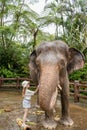 Child girl is washing and cleaning an elephant in sanctuary park at Bali, Indonesia.