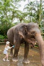Child girl is washing and cleaning an elephant in sanctuary park at Bali, Indonesia.