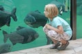 Child girl watching sea fishes in a big aquarium Royalty Free Stock Photo