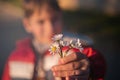 Child gives flowers. Boy with bouquet of wild flowers in a hand Royalty Free Stock Photo