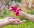 The child gives flowers roses to his mother hands concept love