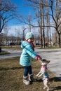 A child gives a pet a treat in a public park. A girl and a Chihuahua dog. Five-year-old child holding a pet treat in her hand. The Royalty Free Stock Photo