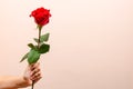 The child gives a rose. There is a place for the text. Beige background