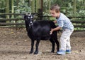 Child with a goat Royalty Free Stock Photo