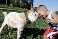 Child and goat head butting Royalty Free Stock Photo