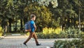 The child goes to school. boy schoolboy goes to school in the morning. happy child with a briefcase on his back and textbooks in Royalty Free Stock Photo