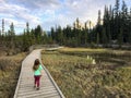 A child going for a walk along a beautiful boardwalk surrounded by marsh, river, trees and mountains