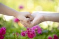 Hands holding beautiful garden Royalty Free Stock Photo