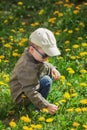 Child on green grass lawn with dandelion flowers on sunny summer day. Kid playing in garden. Royalty Free Stock Photo