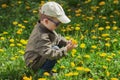 Child on green grass lawn with dandelion flowers on sunny summer day. Kid playing in garden. Royalty Free Stock Photo