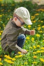 Child on green grass lawn with dandelion flowers on sunny summer day. Kid playing in garden Royalty Free Stock Photo