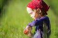 Child in green wild meadow eating wild strawberries. Summer happy times. Royalty Free Stock Photo