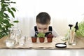 The child grows for greens. The boy bent down, looks at the base of the sprout as it makes its way through the ground