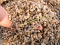 Child hand build stronghold in sand or small stones pillar, broken twigs and leaves Royalty Free Stock Photo