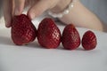 Child hand choosing strawberries Royalty Free Stock Photo