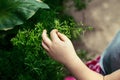 child hand fingers touching green plant