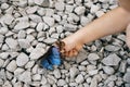 Child hand helping butterfly