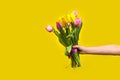 Child hand holding bouquet tulip flowers on Yellow background Royalty Free Stock Photo